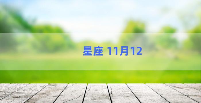 星座 11月12